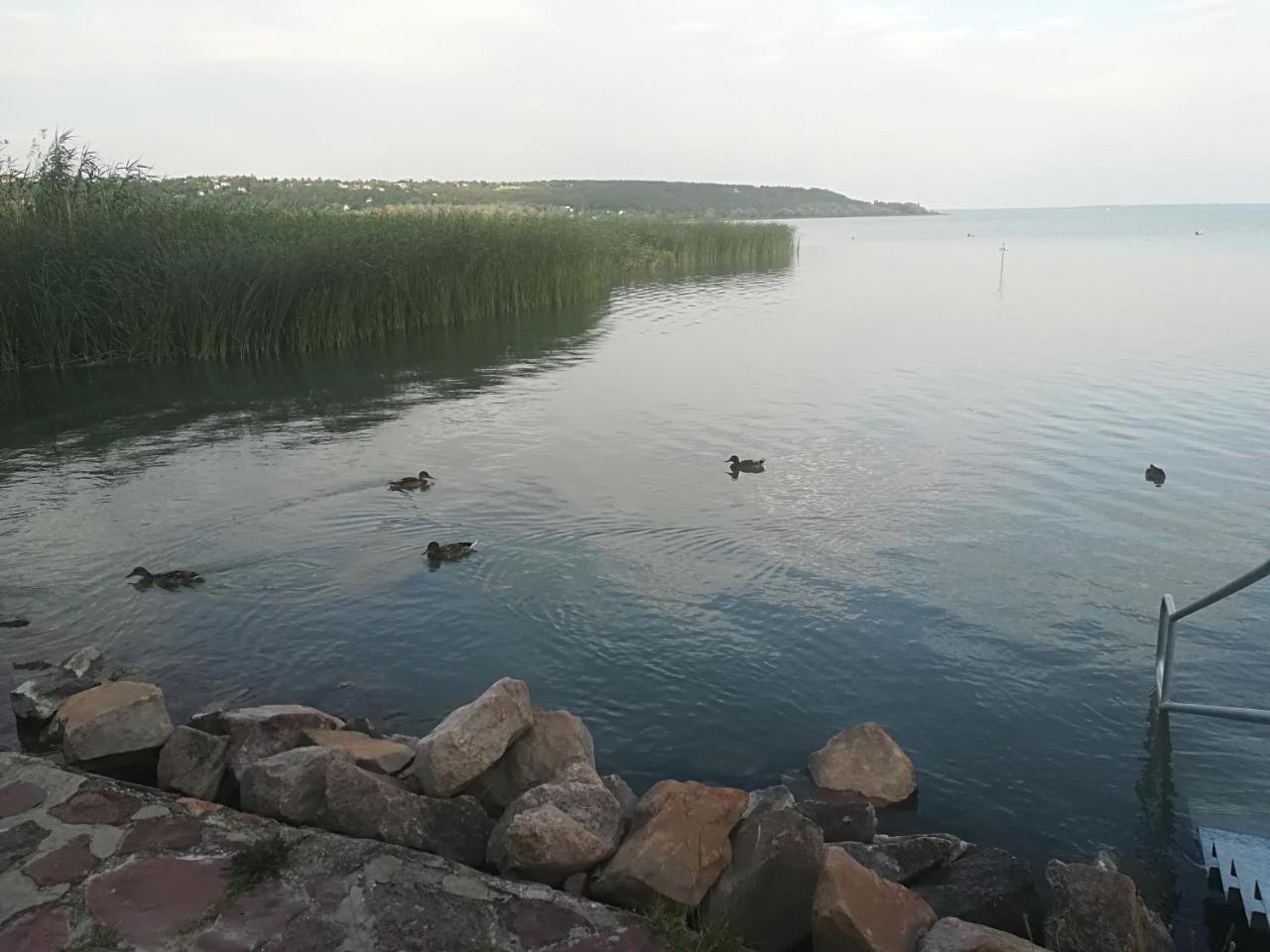 Hotel Betty Apartman Balatonfůzfő Exteriér fotografie